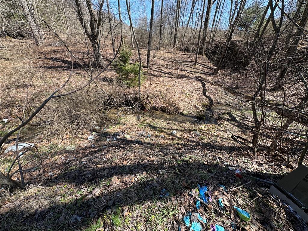 2312 Markton Road Knox Dale, PA 15847 - Photo 8 of 9