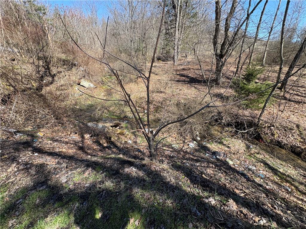 2312 Markton Road Knox Dale, PA 15847 - Photo 9 of 9