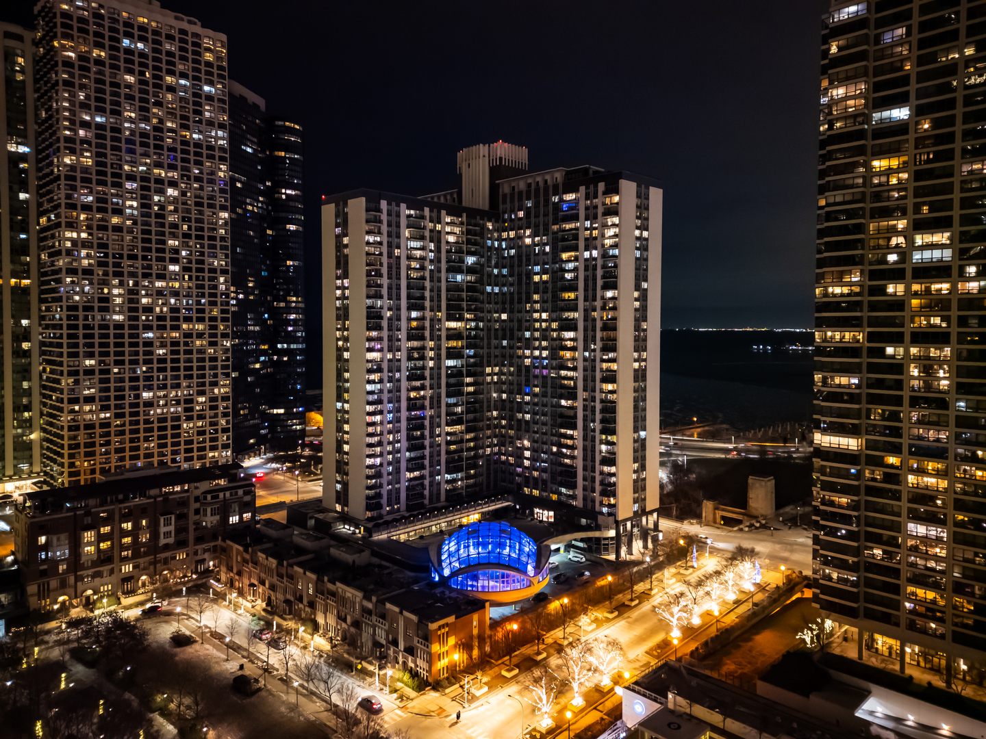 400 East Randolph Street, Unit 828 Chicago, IL 60601 - Photo 12 of 15