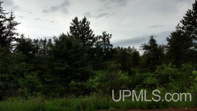 40-acres Bryan Creek Road Ishpeming, MI 49849 - Photo 3 of 6 Gallery Image 3