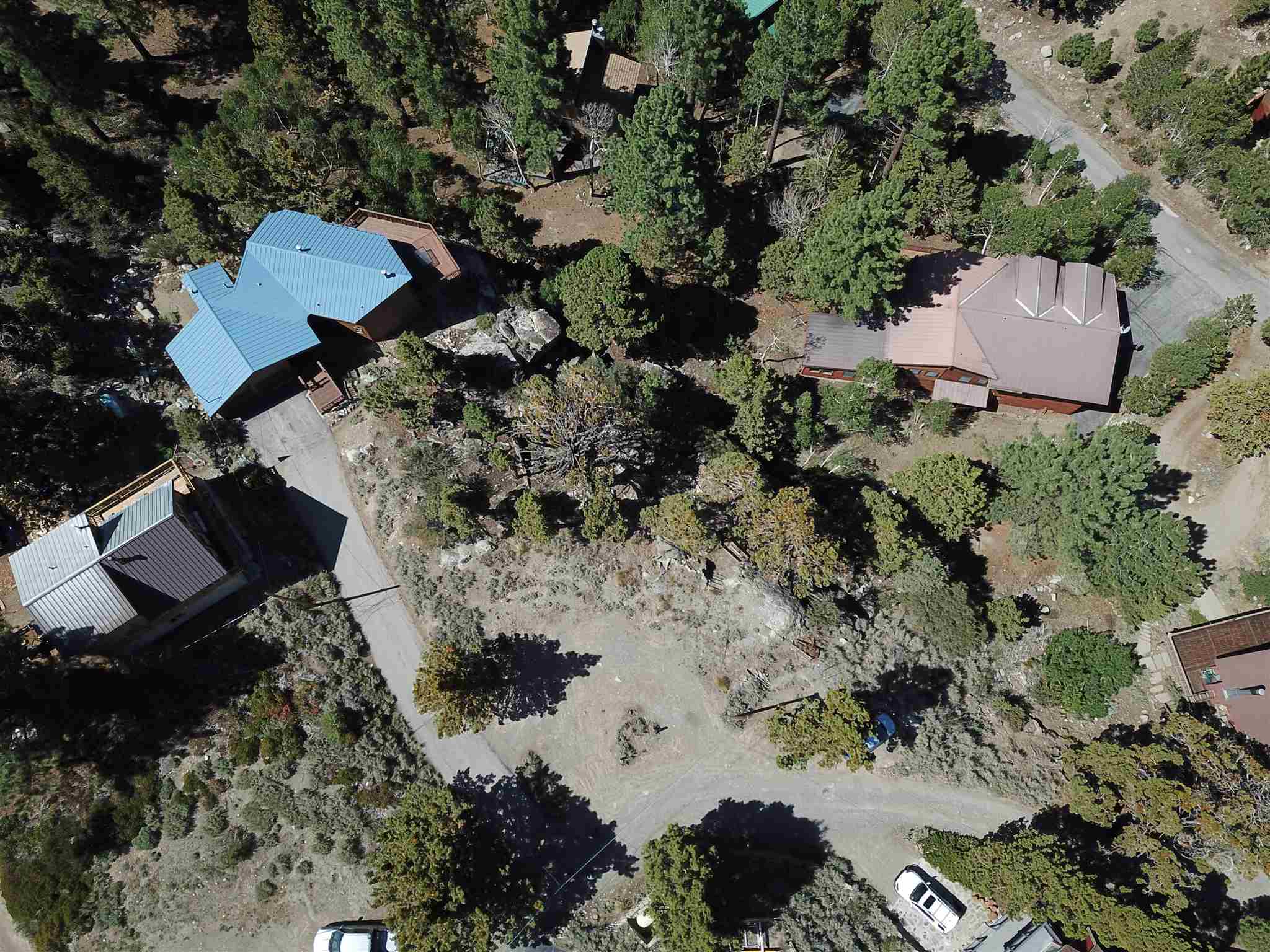 an aerial view of a house with a yard and a large tree