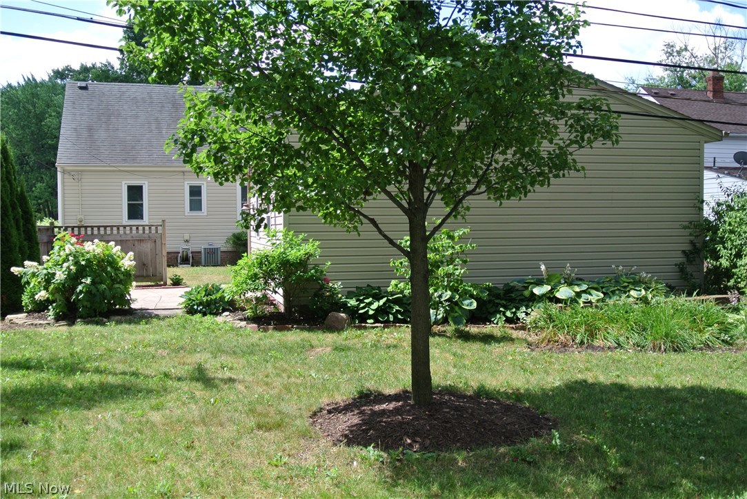 13519 Thraves Road Cleveland, OH 44125 - Photo 24 of 30 Plenty of green space