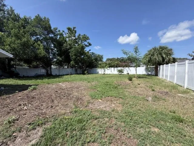 a view of a yard with a tree