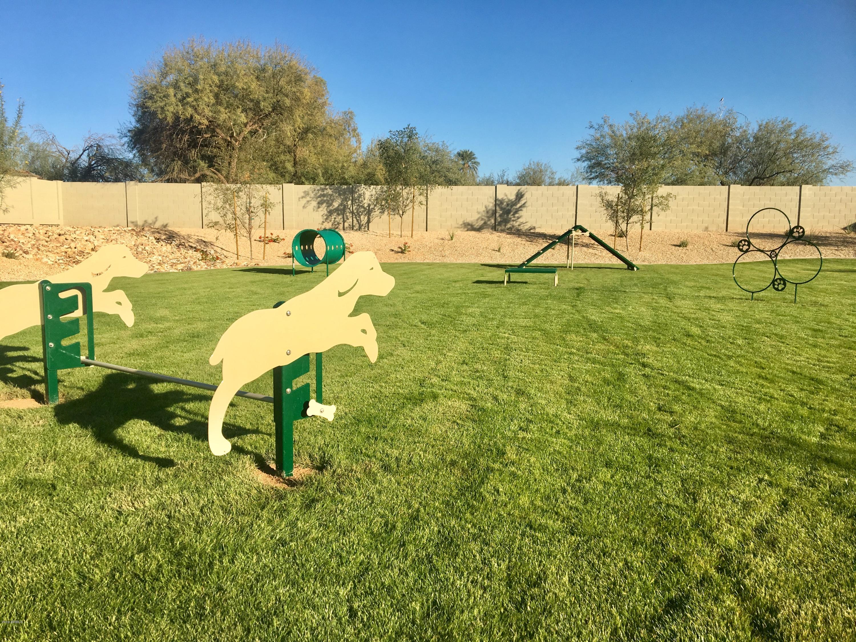 2838 East Fraktur Road Phoenix, AZ 85040 - Photo 8 of 9 Community Dog Park
