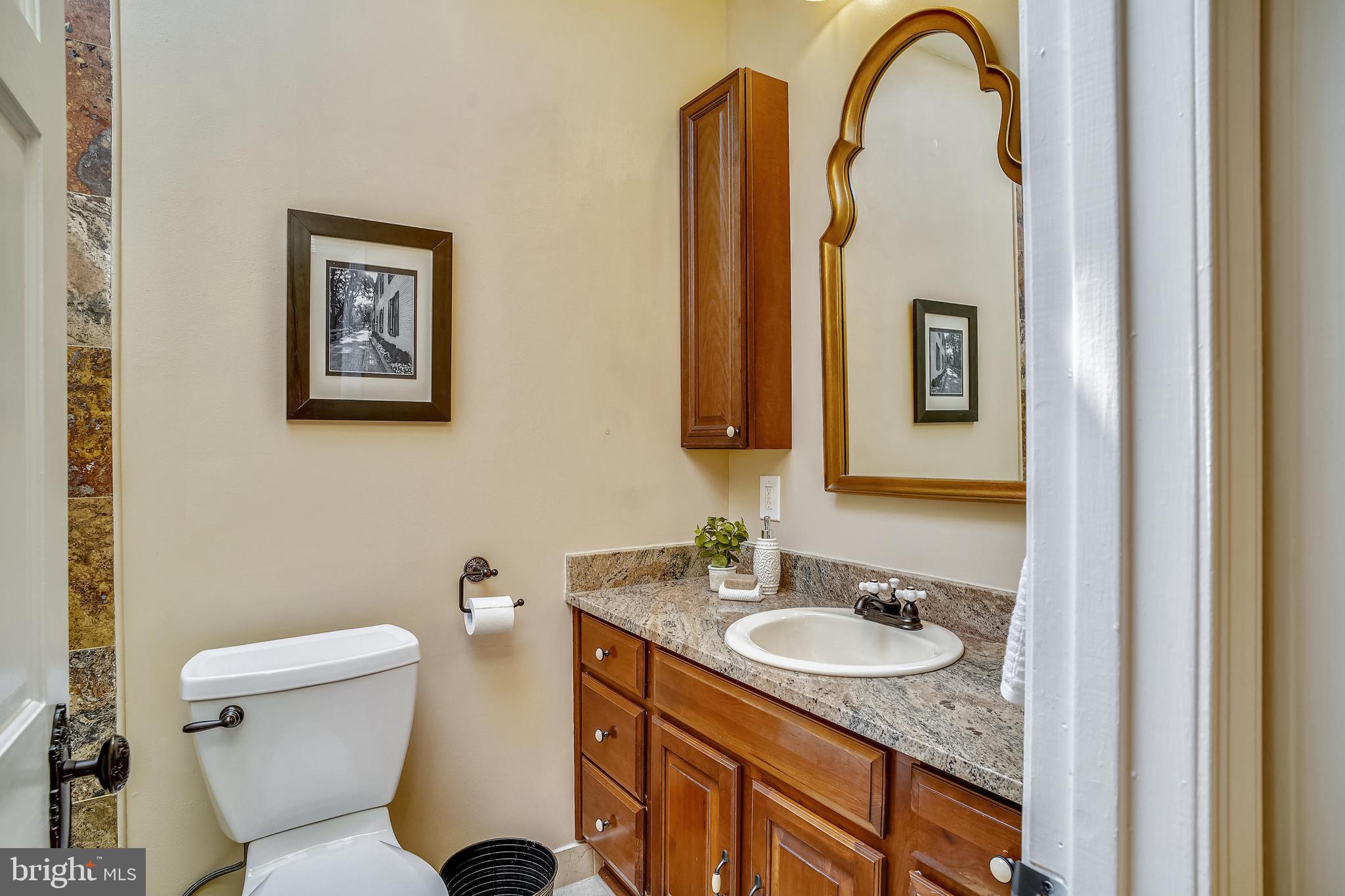 441 5th Street Northeast Washington, DC 20002 - Photo 15 of 27 Large Full Bath w/ Skylight