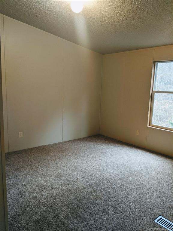 45 Star Flower Road Alexander, NC 28701 - Photo 22 of 28 Gallery Image 22