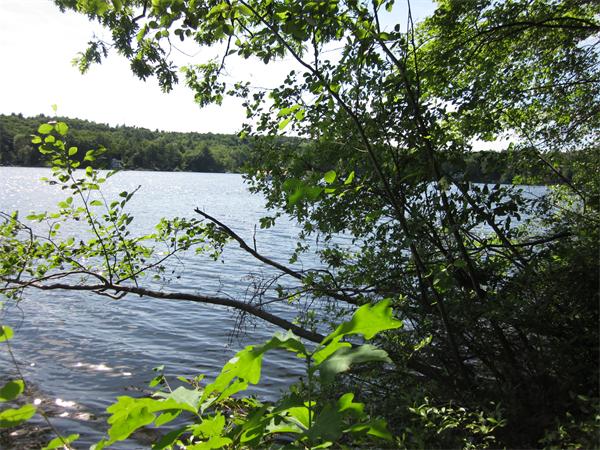 0 Lagoon Road Ware, MA 01082 - Photo 4 of 12 Gallery Image 4