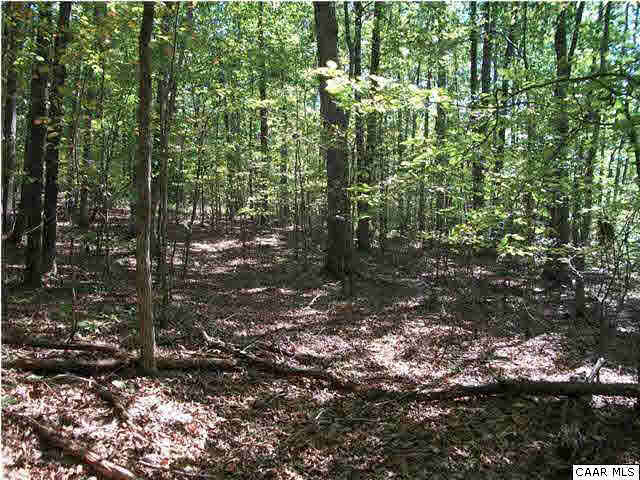 Frays Mill Road Ruckersville, VA 22968 - Photo 8 of 12 a view of forest