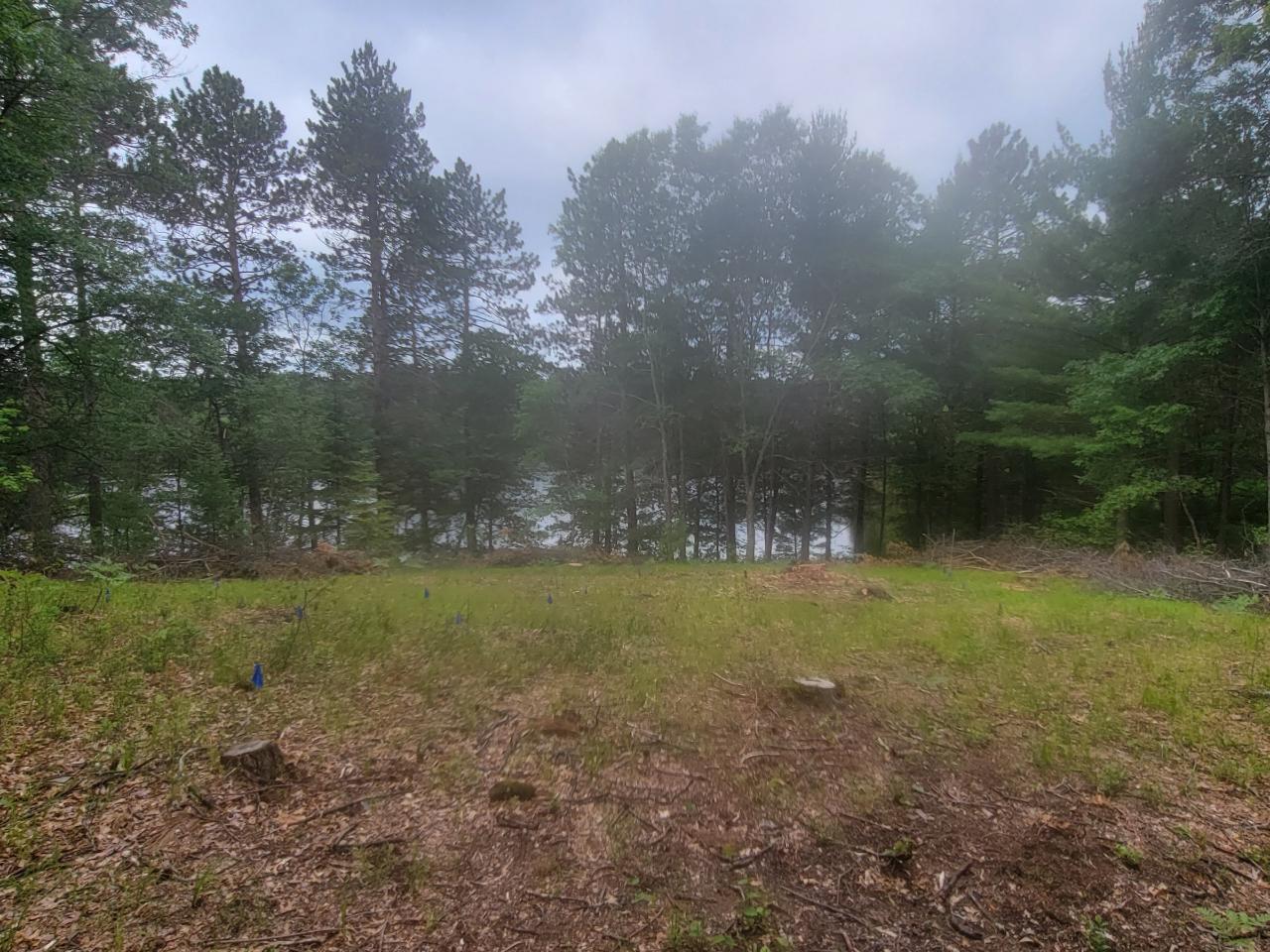 2425 Point O Pines Road Tomahawk, WI 54487 - Photo 11 of 30 Gallery Image 11