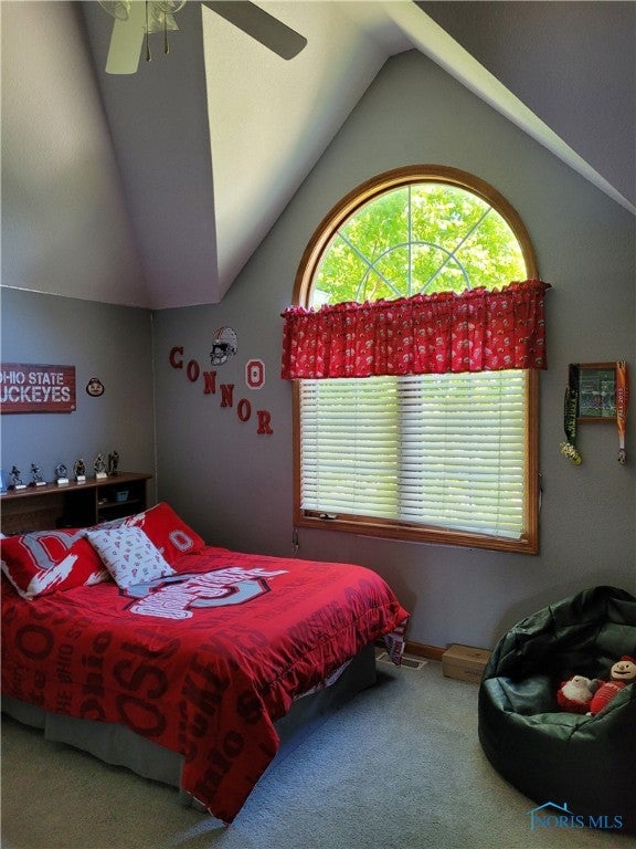 8055 Stitt Road Monclova, OH 43542 - Photo 23 of 32 Gallery Image 23