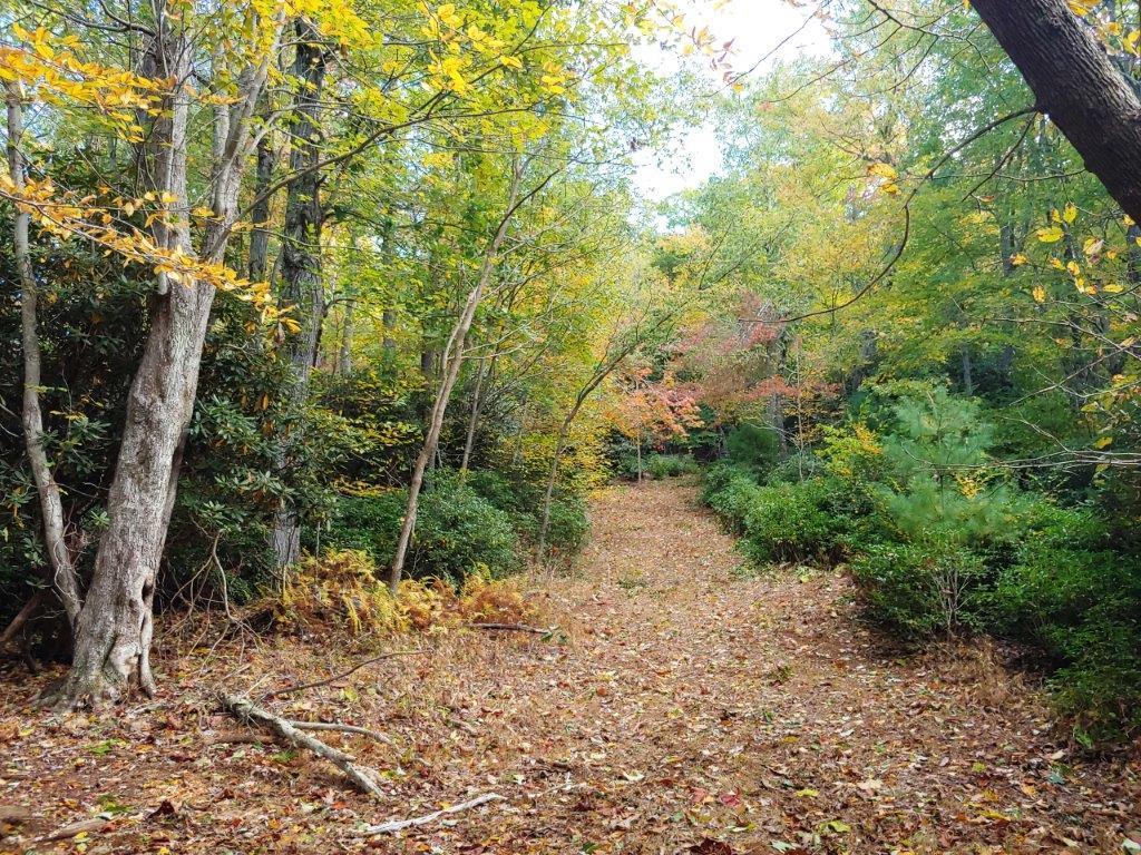 0 Old Fields Road Floyd, VA 24091 - Photo 13 of 37 a pathway of a yard