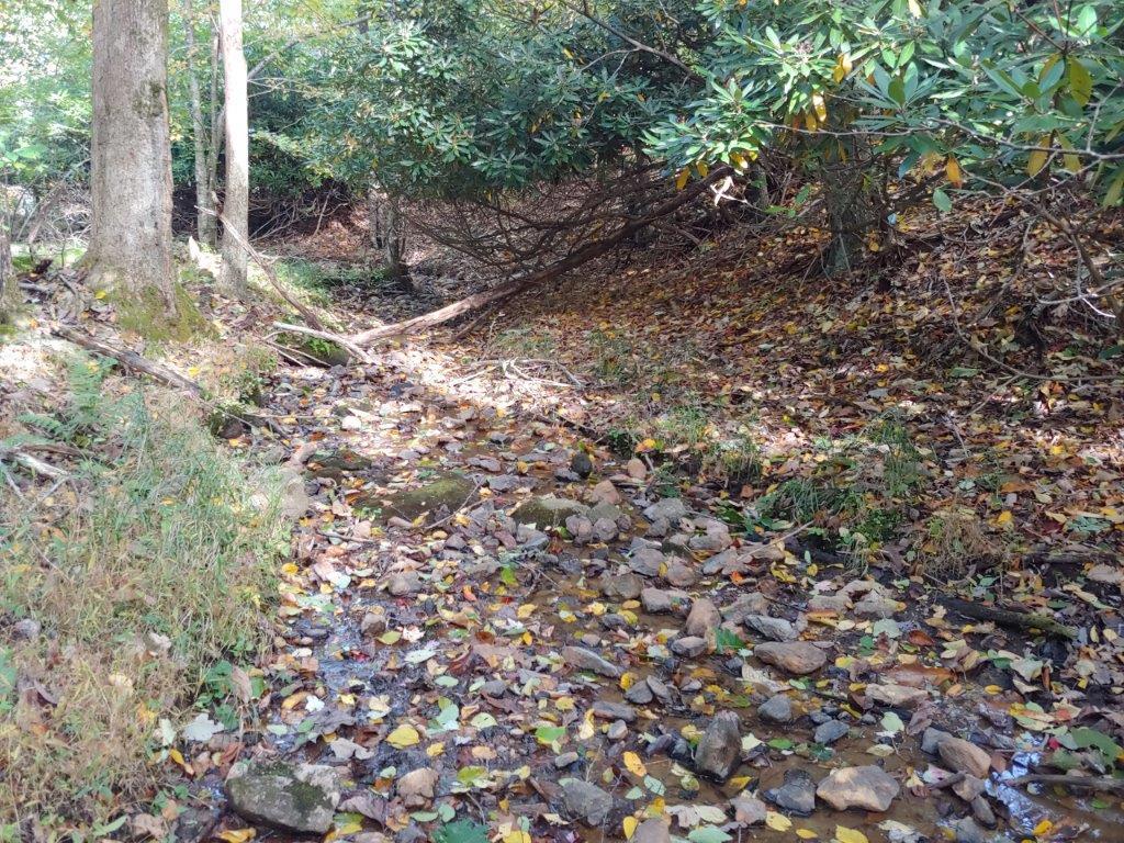 0 Old Fields Road Floyd, VA 24091 - Photo 20 of 37 a view of a forest with a tree