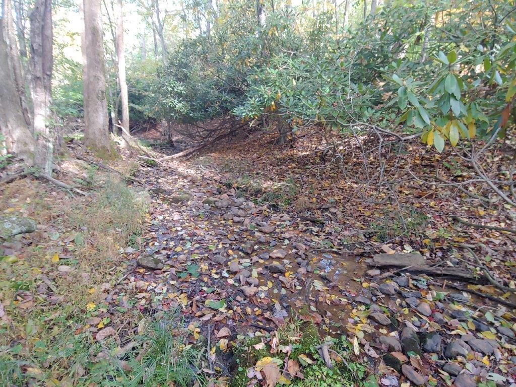 0 Old Fields Road Floyd, VA 24091 - Photo 21 of 37 a view of a forest that has a tree