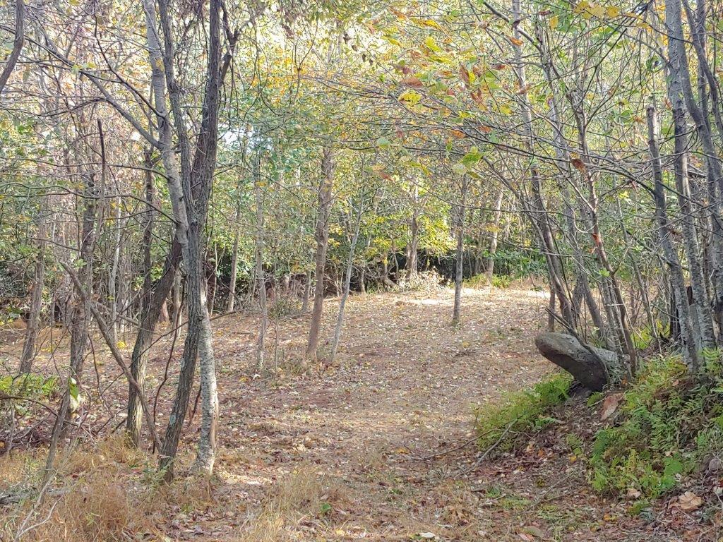 0 Old Fields Road Floyd, VA 24091 - Photo 5 of 37 a view of outdoor space with trees