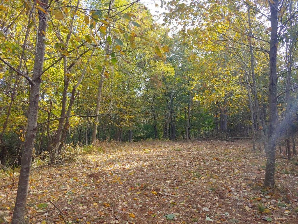 0 Old Fields Road Floyd, VA 24091 - Photo 6 of 37 a view of a yard with trees