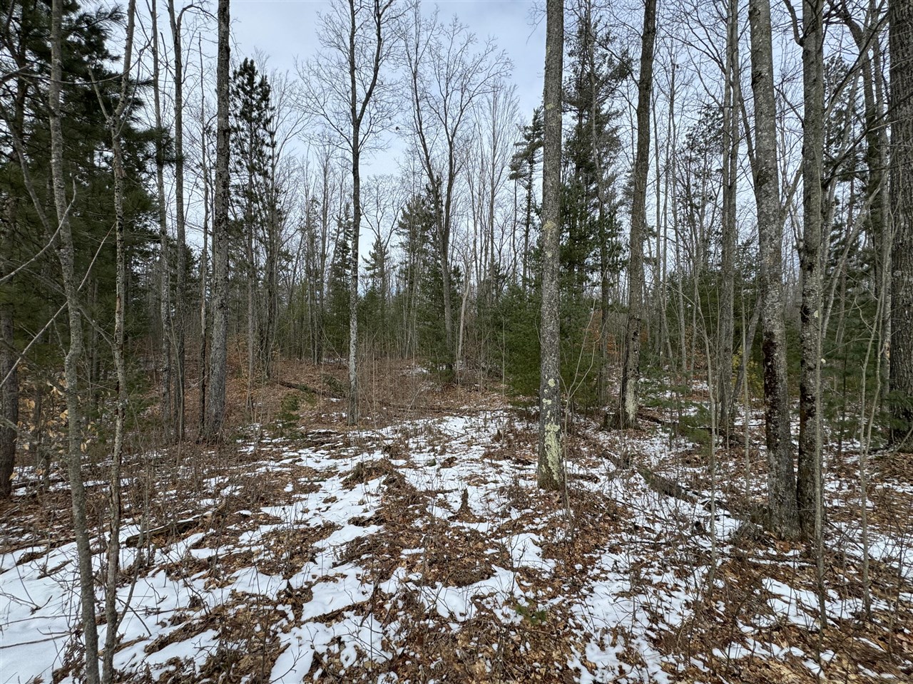 3010 Mt Tom Road Comins, MI 48619 - Photo 74 of 97
