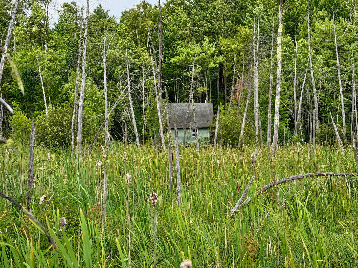 684 Lower Detroit Road Plymouth, ME 04969 - Photo 12 of 18 original-8A31EADE-FDE0-4AB0-9794-FA3F2D5