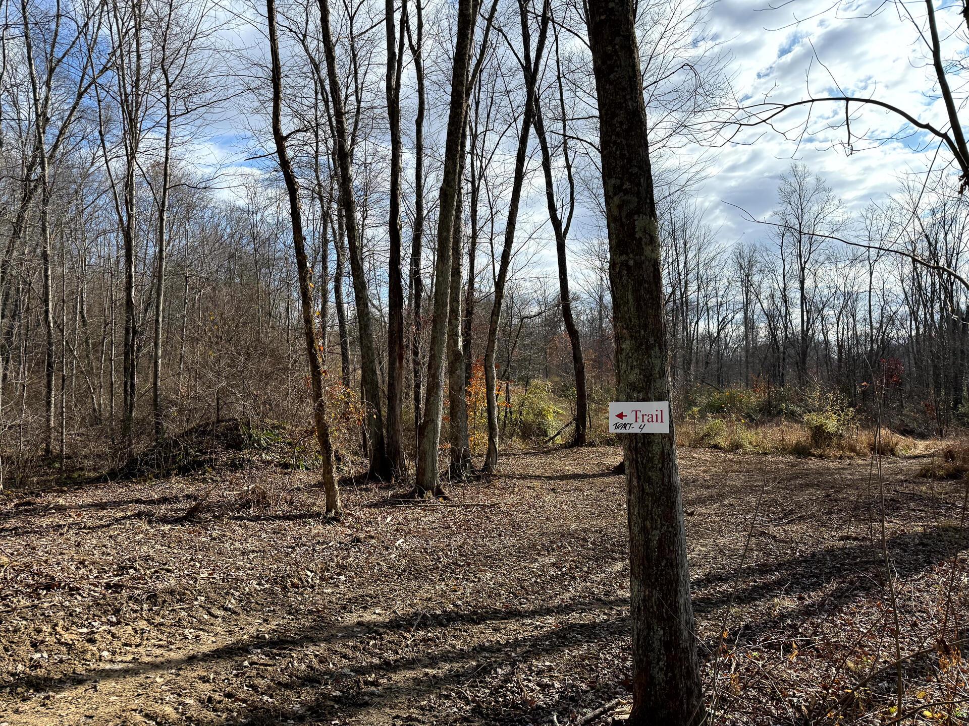 0 Dutch Ridge Road Southeast, Unit WOODS TURKEY RUN TRACT 4) New Lexington, OH 43764 - Photo 26 of 58 CT-26