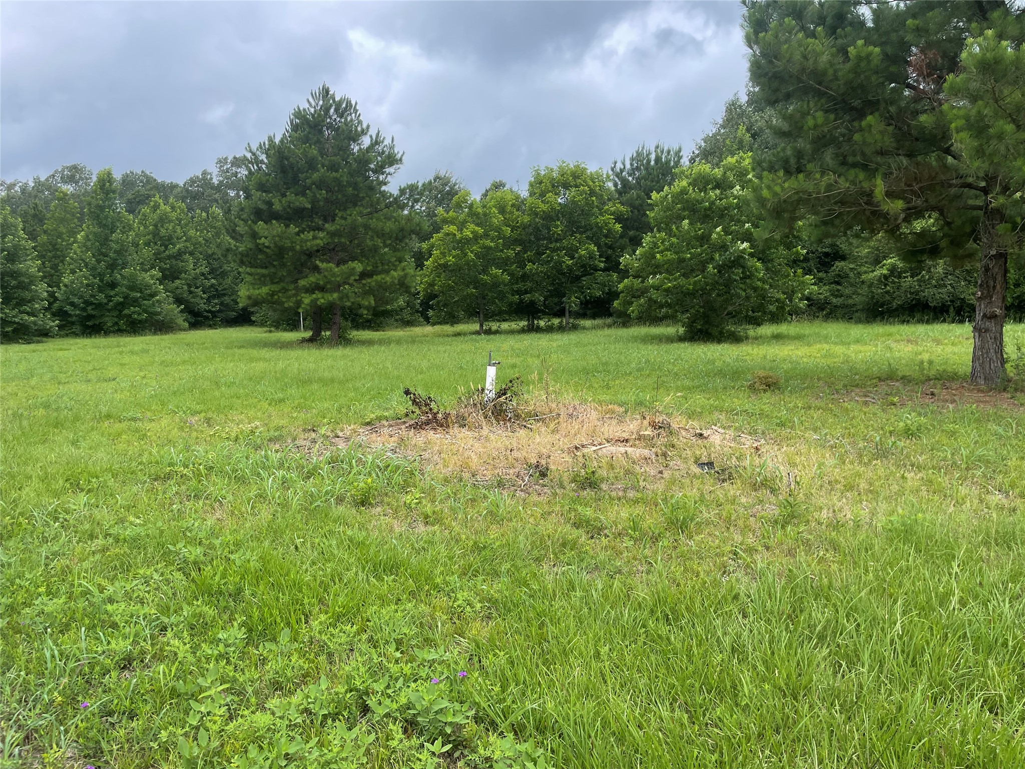 977 Tafelski Road New Waverly, TX 77358 - Photo 6 of 10