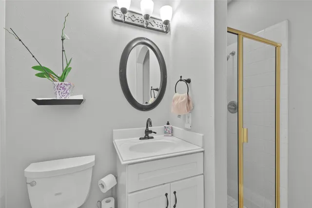 a bathroom with a toilet a sink and a mirror