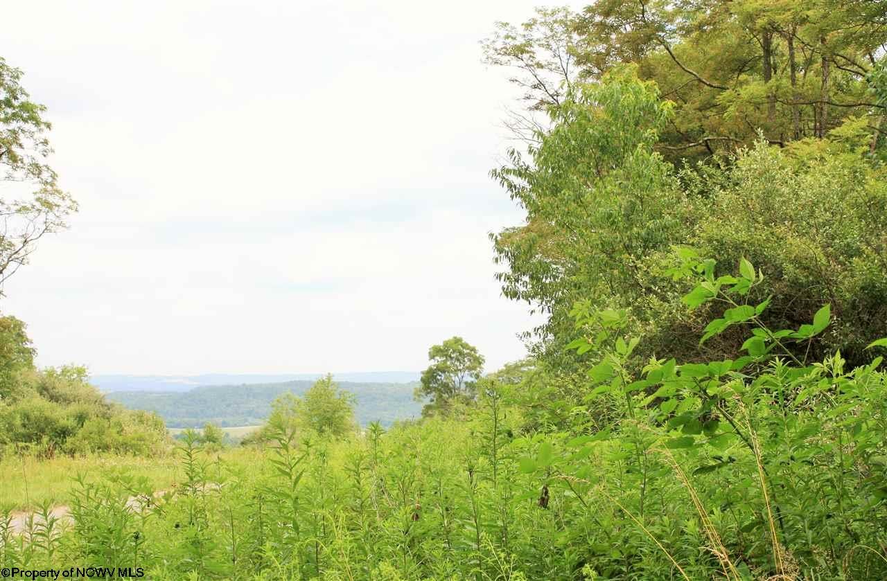 0 Sugar Valley Road Albright, WV 26519 - Photo 7 of 17 Gallery Image 7