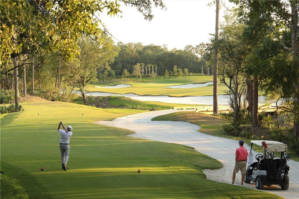 18028 Gawthrop Drive, Unit 303 Bradenton, FL 34211 - Photo 37 of 58 a view of a park