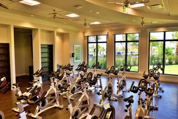 a view of a white building with a large tree