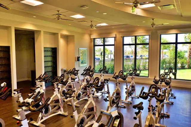 a view of a white building with a large tree