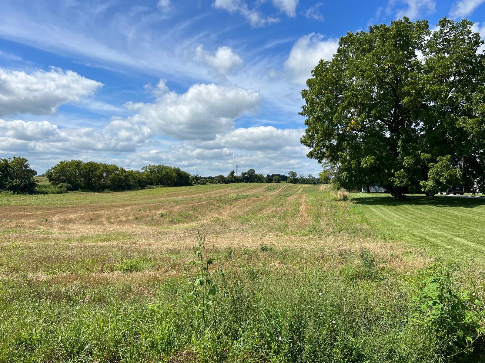3817 68th Street Raymond, WI 53126 - Photo 54 of 55 farmland