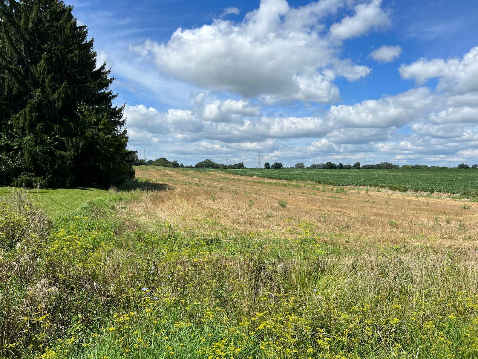 3817 68th Street Raymond, WI 53126 - Photo 55 of 55 farmland