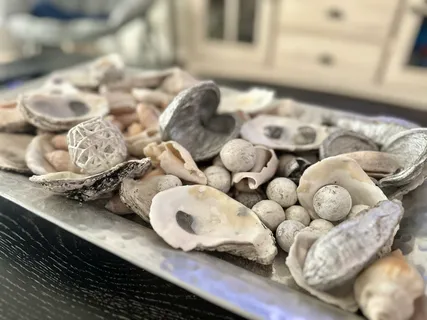 a view of flower garden with a building in the background