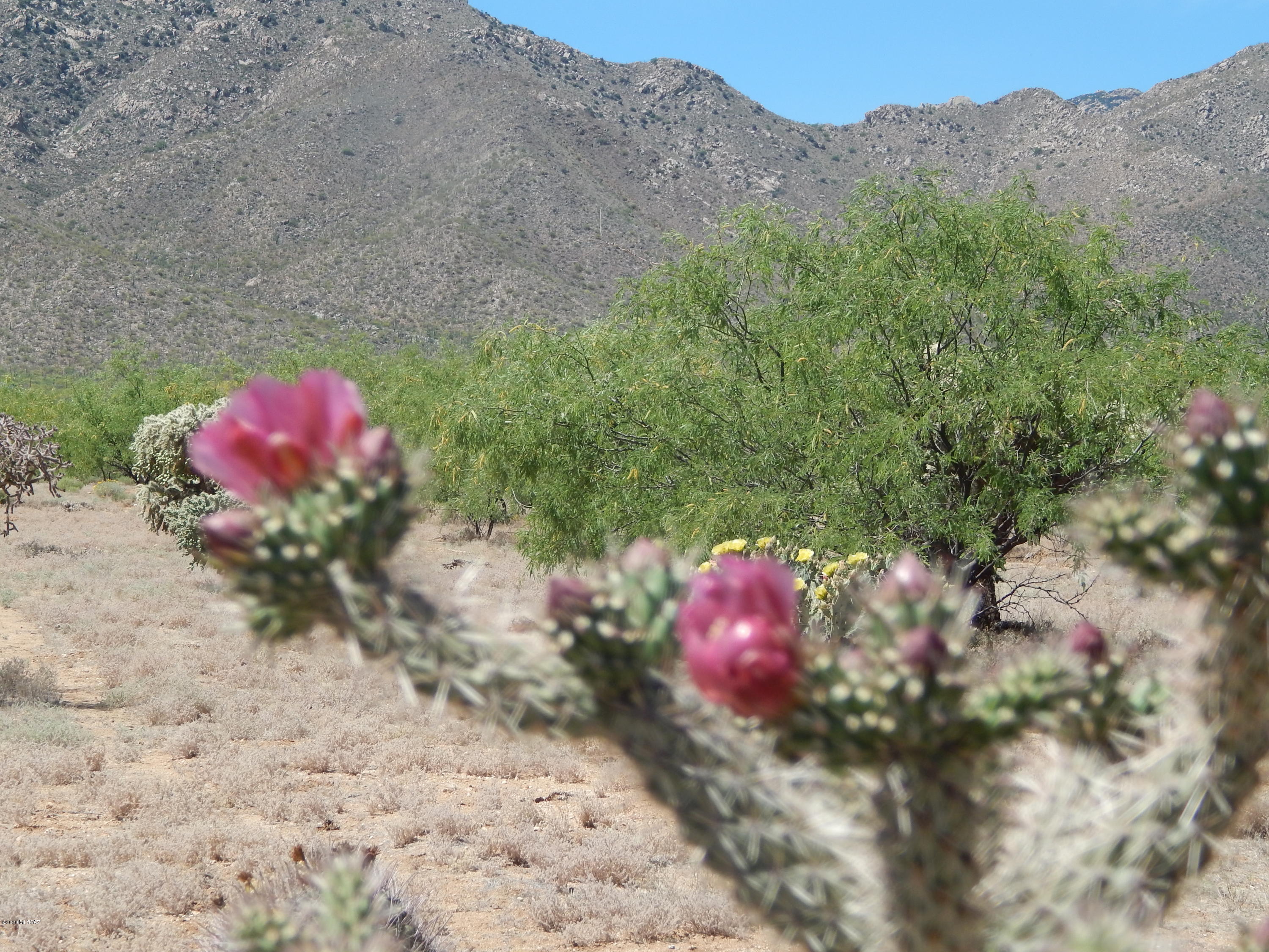 23400 West Ressie Road, Unit 98 Tucson, AZ 85735 - Photo 21 of 36