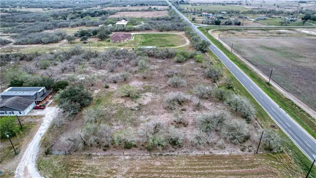 a view of a yard with large trees