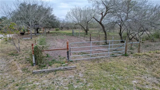 a view of backyard with green space