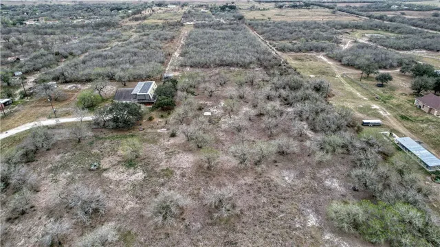 a view of a dry yard