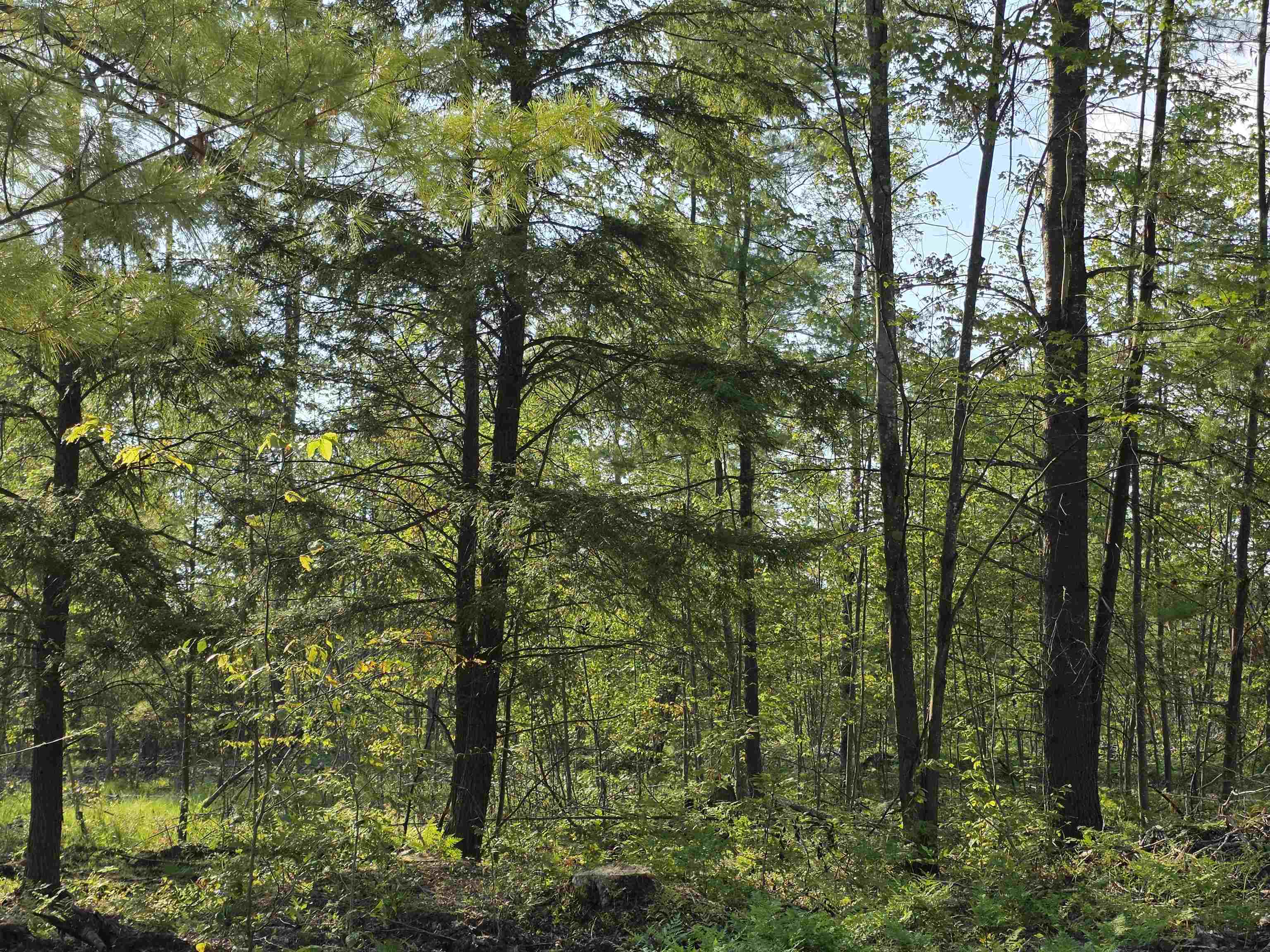 0 Arnold Road Manton, MI 49663 - Photo 37 of 63
