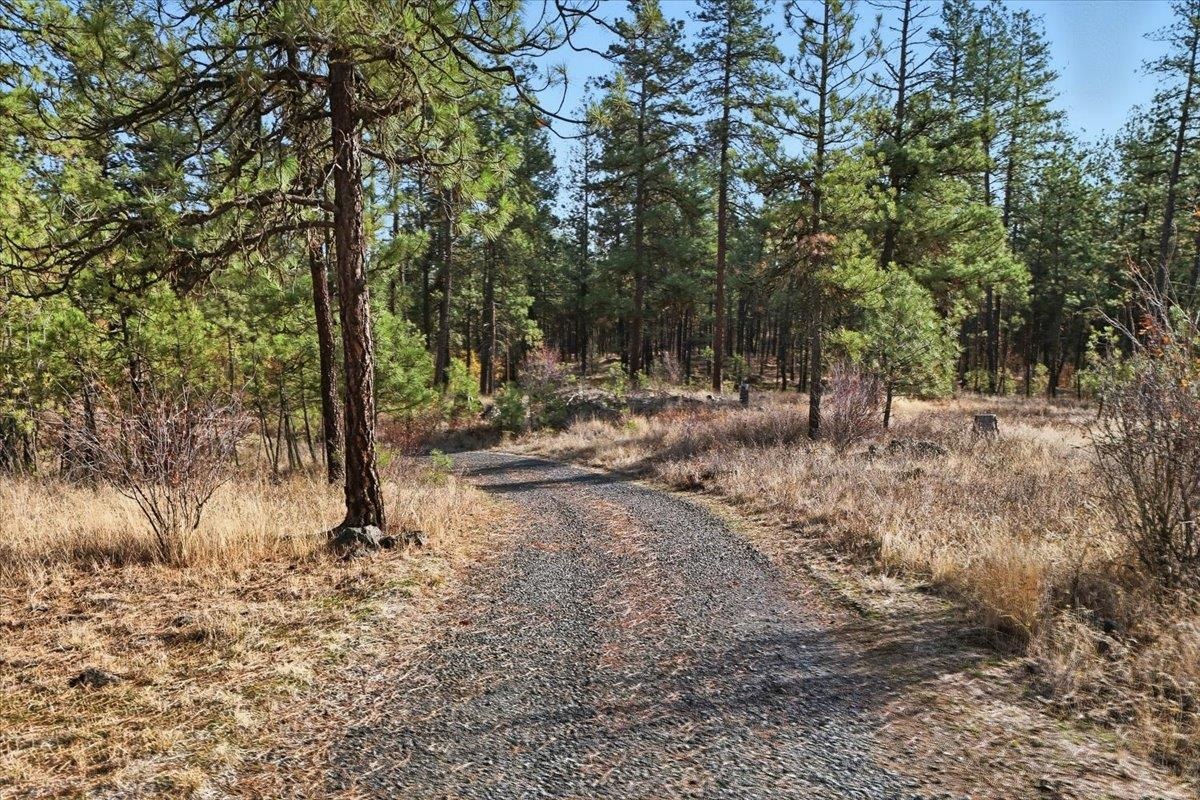 20112 South Short Road Cheney, WA 99004 - Photo 43 of 50