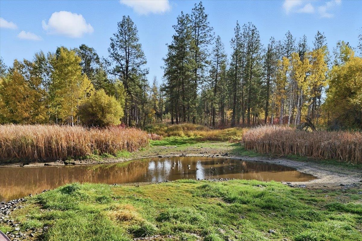 20112 South Short Road Cheney, WA 99004 - Photo 46 of 50