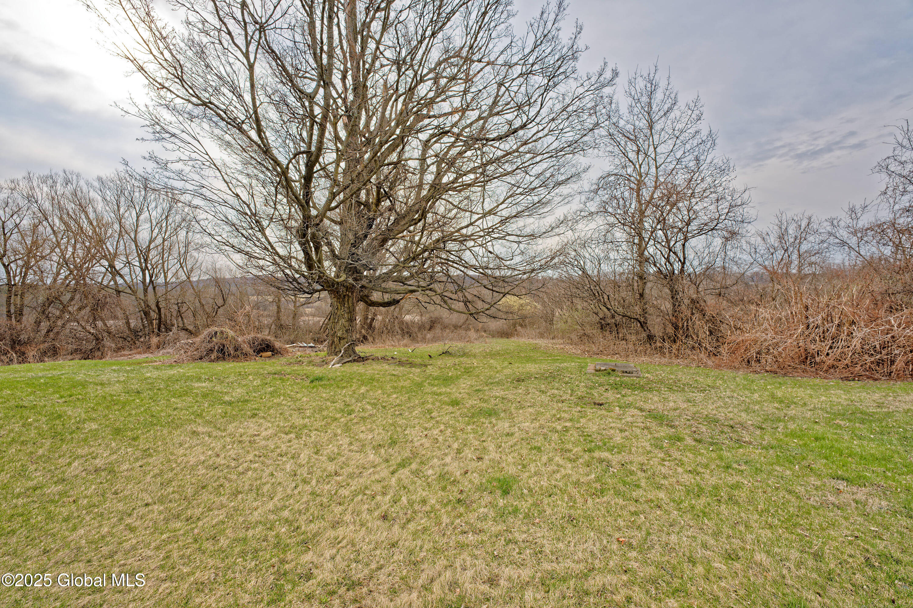 197 Dorn Road Amsterdam, NY 12010 - Photo 31 of 36 Yard 3