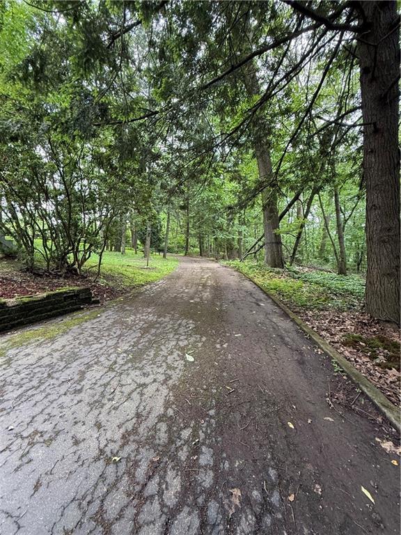 301 Hopper Road Transfer, PA 16154 - Photo 10 of 48 a view of outdoor space with deck and tree