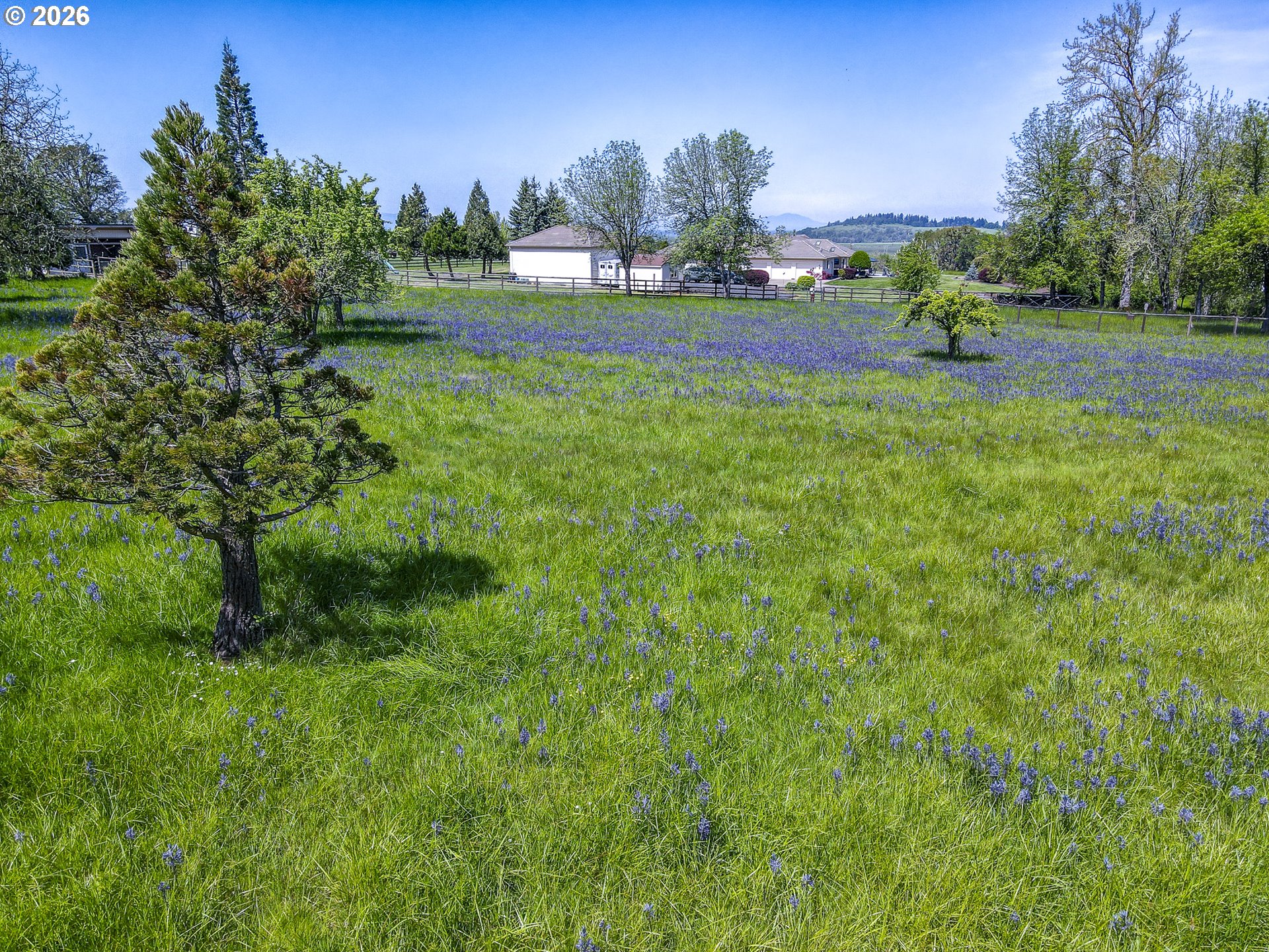 33685 Van Duyn Road Eugene, OR 97408 - Photo 47 of 48