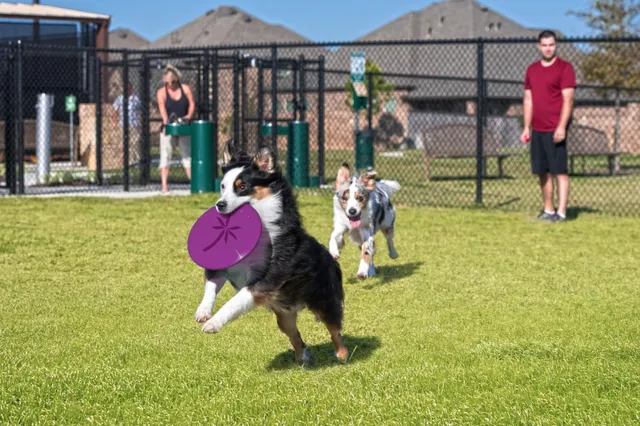 $389,900 | 8635 Jetty Gln Drive, Cypress, TX 77433