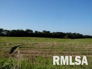 7150 Dew Drop Road Ellis Grove, IL 62241 - Photo 1 of 6