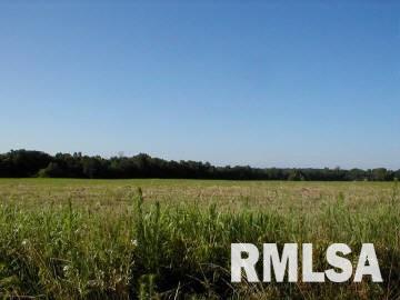 7150 Dew Drop Road Ellis Grove, IL 62241 - Photo 3 of 6