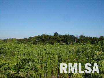 7150 Dew Drop Road Ellis Grove, IL 62241 - Photo 5 of 6
