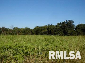 7150 Dew Drop Road Ellis Grove, IL 62241 - Photo 6 of 6