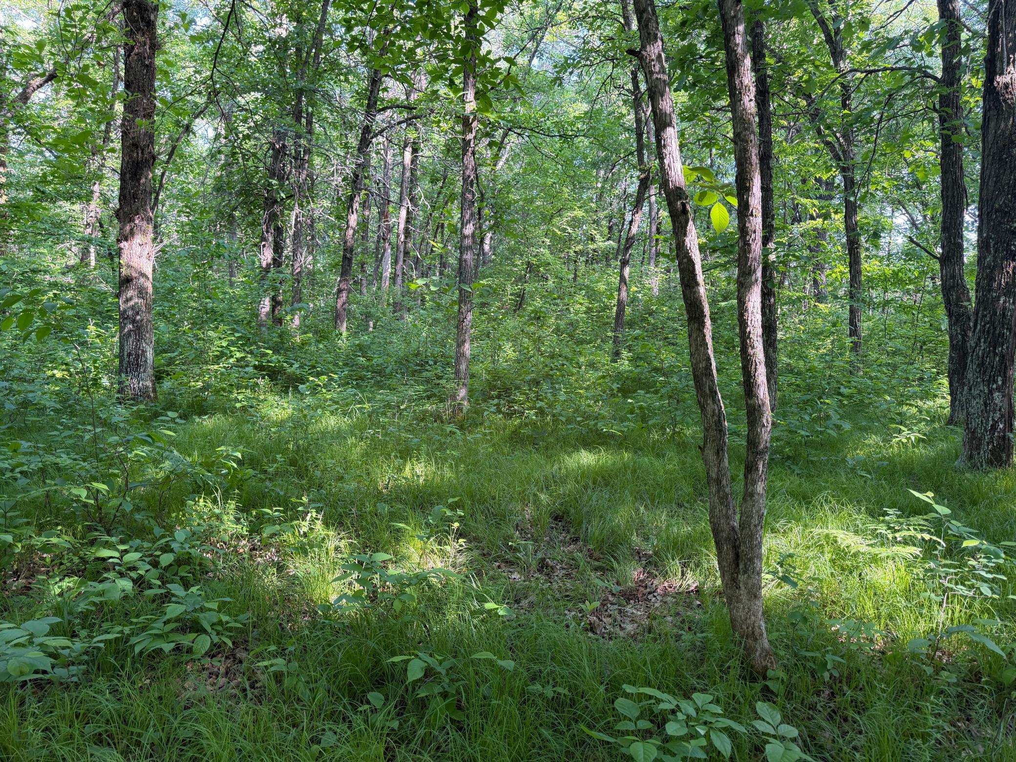 Tbd 270th Street Sebeka, MN 56477 - Photo 36 of 65