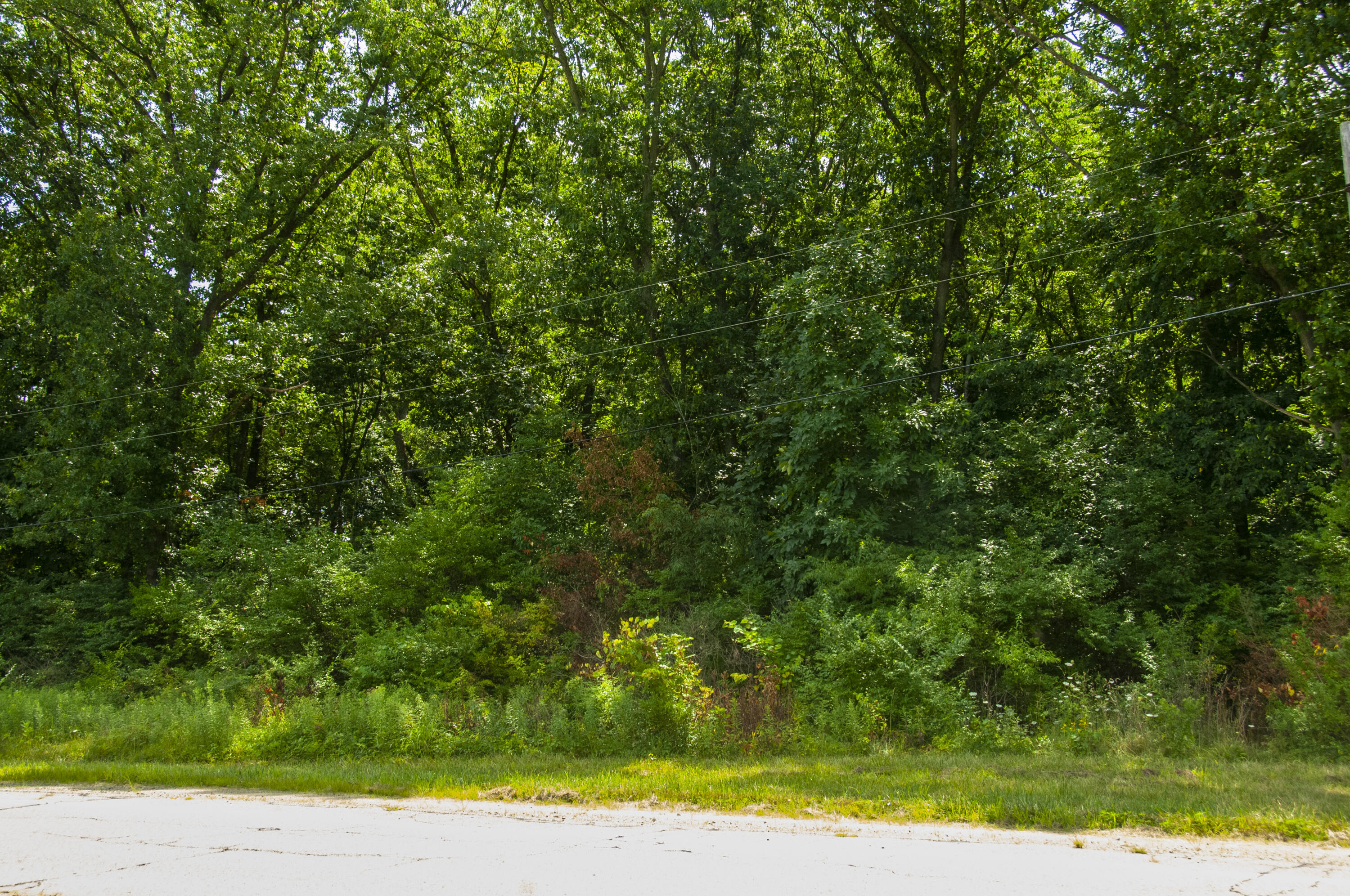 West Chicago Road, Unit 26 Niles, MI 49120 - Photo 4 of 9 REN_6518