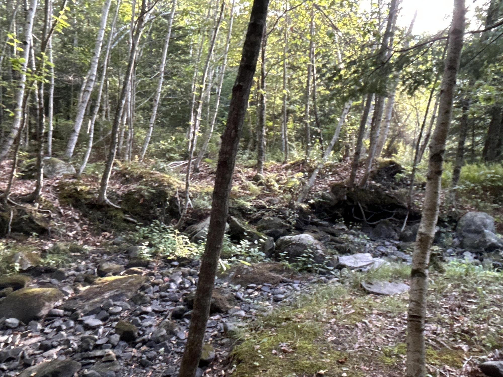 M4-l14 Village Road Jackson, ME 04921 - Photo 32 of 37
