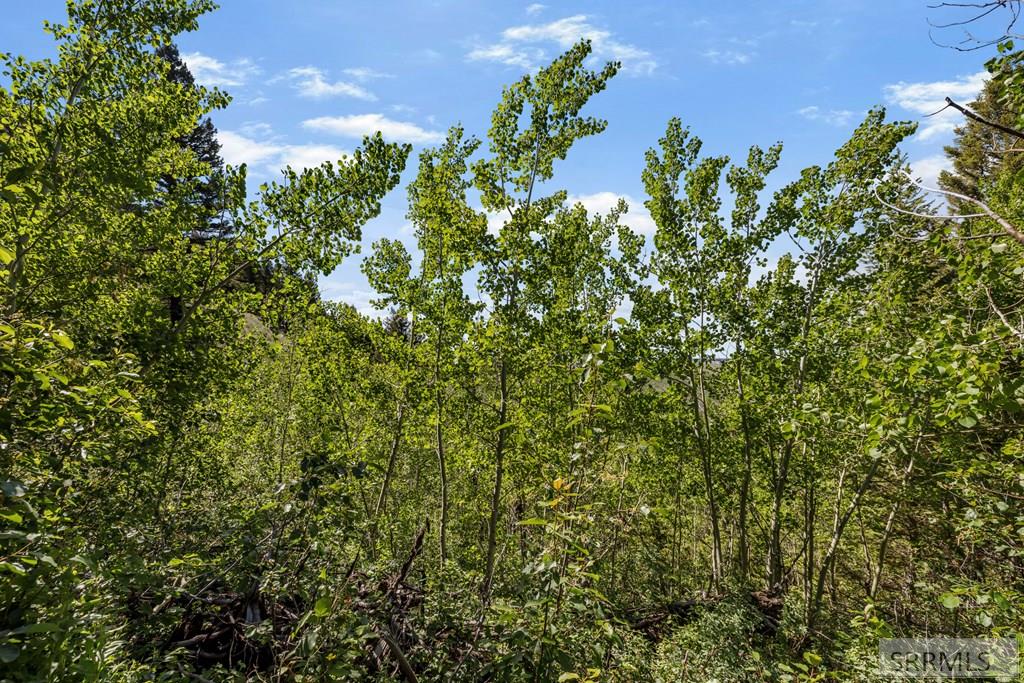 5130 West Rees Drive Island Park, ID 83429 - Photo 11 of 17